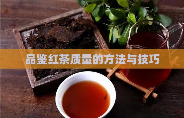 品鉴红茶质量的方法与技巧