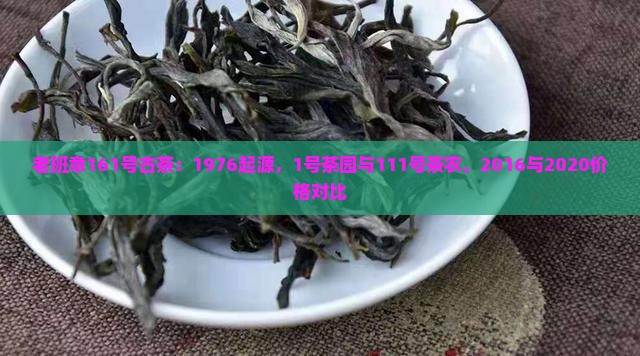 老班章161号古茶：1976起源，1号茶园与111号茶农，2016与2020价格对比
