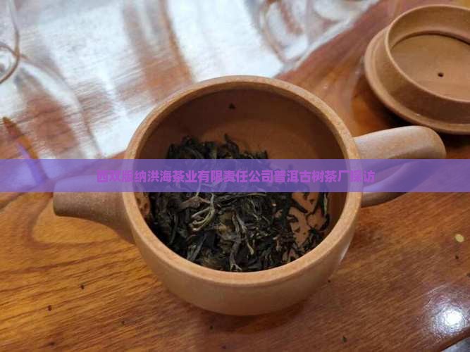 西双版纳洪海茶业有限责任公司普洱古树茶厂探访