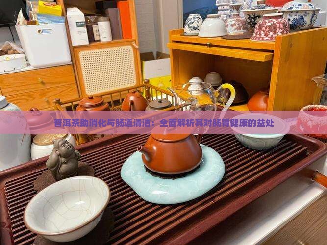 普洱茶助消化与肠道清洁：全面解析其对肠胃健康的益处
