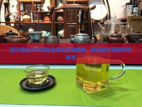 福今茶业250克袋泡茶全口味套装，精选茶叶便携即饮体验