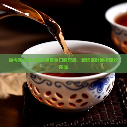 福今茶业250克袋泡茶全口味套装，精选茶叶便携即饮体验