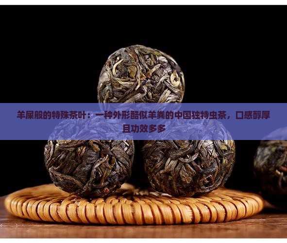 羊屎般的特殊茶叶：一种外形酷似羊粪的中国独特虫茶，口感醇厚且功效多多