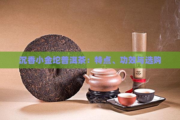 沉香小金坨普洱茶：特点、功效与选购