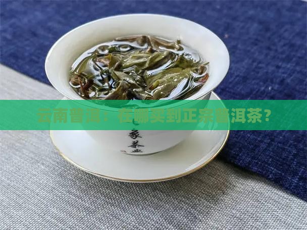 云南普洱：在哪买到正宗普洱茶？