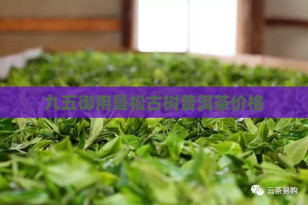 九五御用曼松古树普洱茶价格