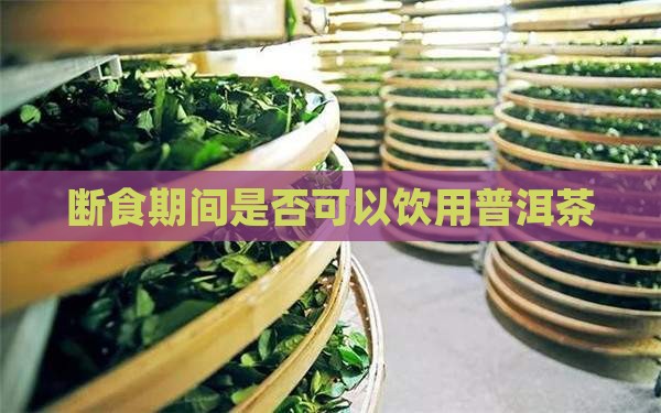 断食期间是否可以饮用普洱茶