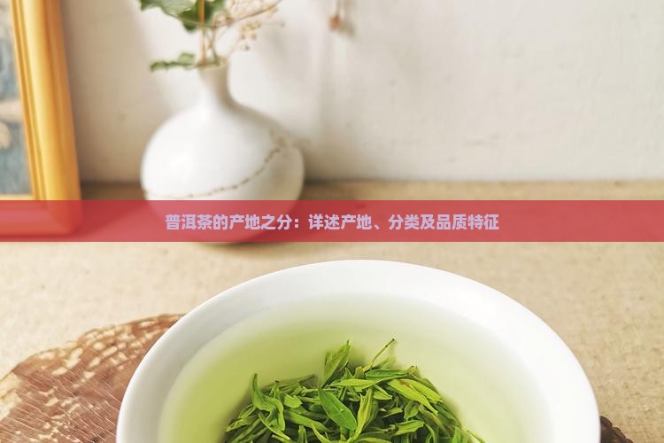 普洱茶的产地之分：详述产地、分类及品质特征