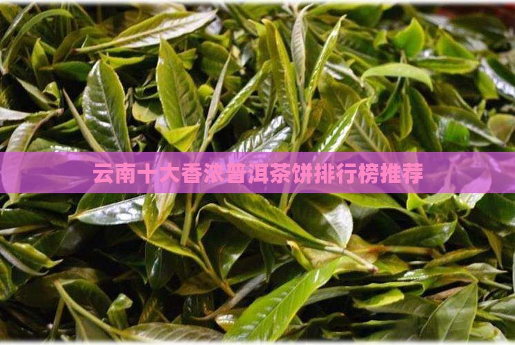 云南十大香浓普洱茶饼排行榜推荐