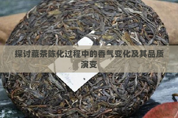探讨藏茶陈化过程中的香气变化及其品质演变