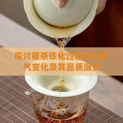 探讨藏茶陈化过程中的香气变化及其品质演变