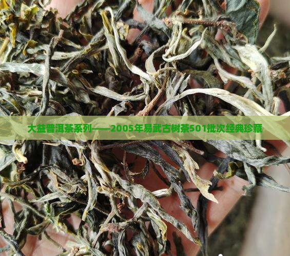 大益普洱茶系列——2005年易武古树茶501批次经典珍藏