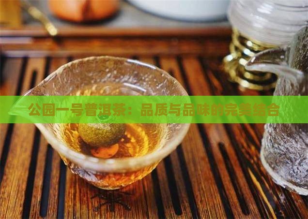 公园一号普洱茶：品质与品味的完美结合