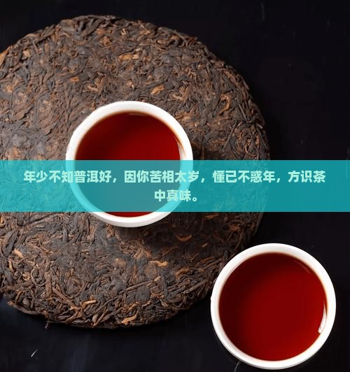 年少不知普洱好，因你苦相太岁，懂已不惑年，方识茶中真味。