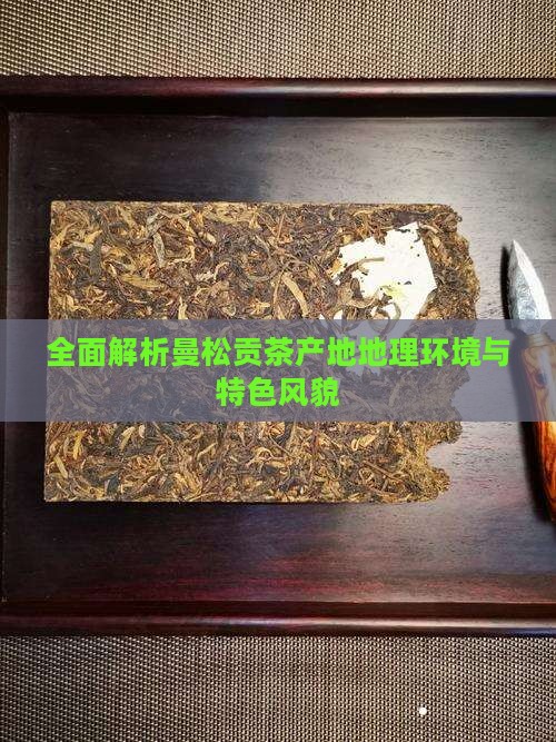 全面解析曼松贡茶产地地理环境与特色风貌