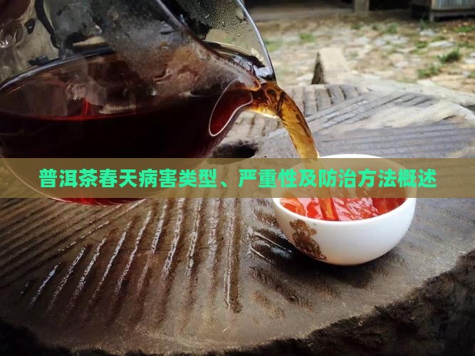 普洱茶春天病害类型、严重性及防治方法概述