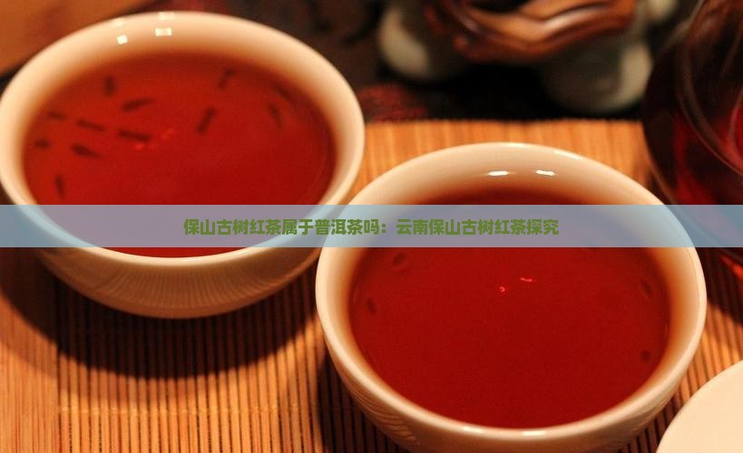 保山古树红茶属于普洱茶吗：云南保山古树红茶探究