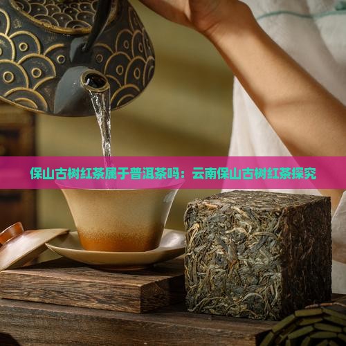 保山古树红茶属于普洱茶吗：云南保山古树红茶探究