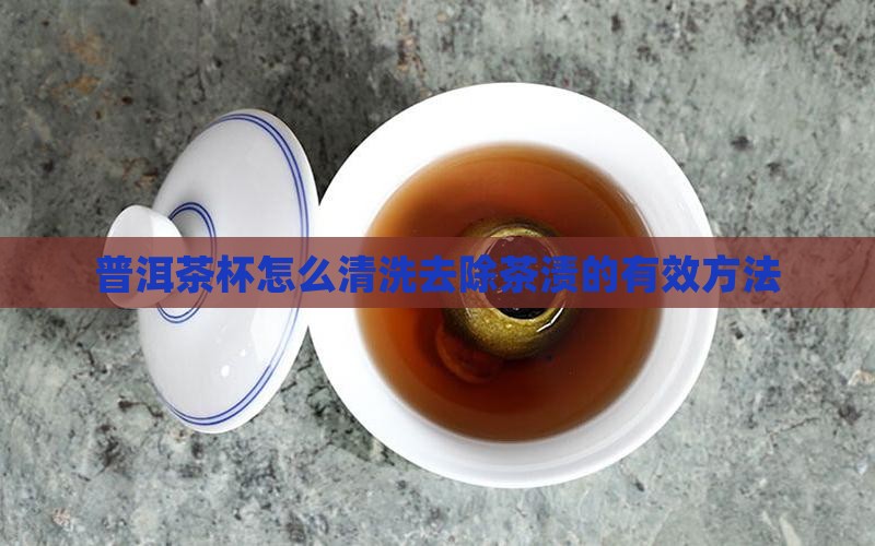 普洱茶杯怎么清洗去除茶渍的有效方法