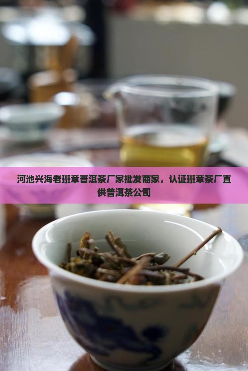 河池兴海老班章普洱茶厂家批发商家，认证班章茶厂直供普洱茶公司