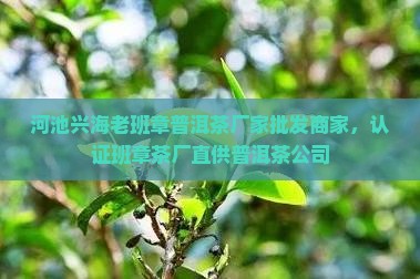 河池兴海老班章普洱茶厂家批发商家，认证班章茶厂直供普洱茶公司