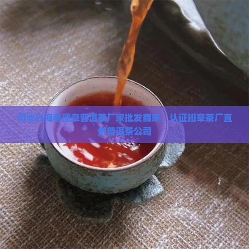 河池兴海老班章普洱茶厂家批发商家，认证班章茶厂直供普洱茶公司