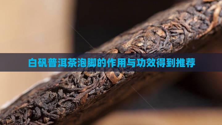 白矾普洱茶泡脚的作用与功效得到推荐