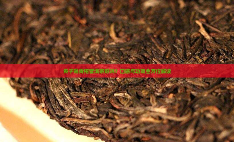 黄子喝青柑普洱茶好吗？口感与功效全方位解读