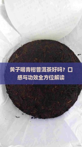 黄子喝青柑普洱茶好吗？口感与功效全方位解读