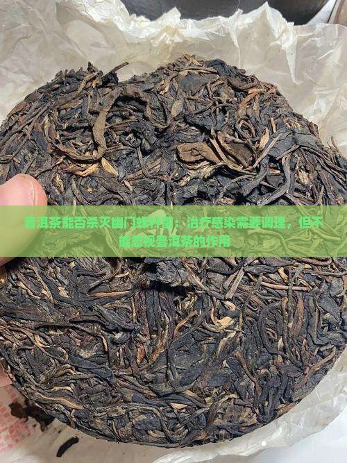 普洱茶能否杀灭幽门螺杆菌：治疗感染需要调理，但不能忽视普洱茶的作用