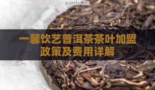 一馨饮艺普洱茶茶叶加盟政策及费用详解