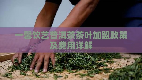 一馨饮艺普洱茶茶叶加盟政策及费用详解