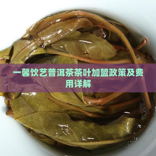 一馨饮艺普洱茶茶叶加盟政策及费用详解