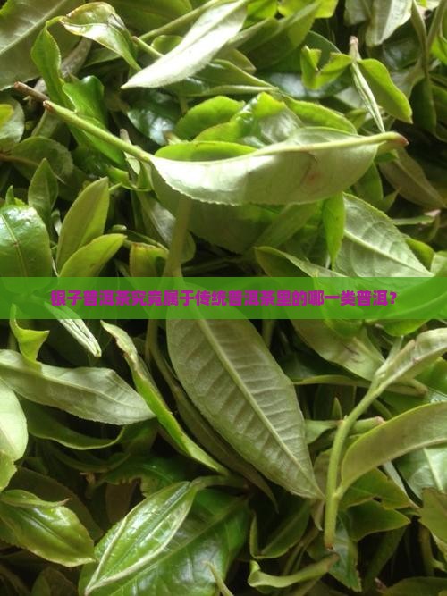 银子普洱茶究竟属于传统普洱茶里的哪一类普洱？