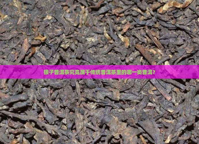 银子普洱茶究竟属于传统普洱茶里的哪一类普洱？