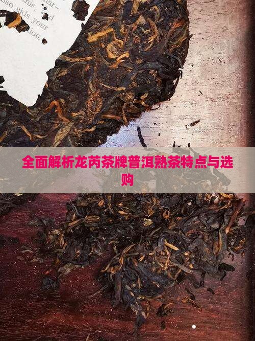 全面解析龙芮茶牌普洱熟茶特点与选购