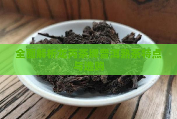 全面解析龙芮茶牌普洱熟茶特点与选购