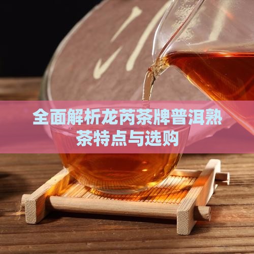 全面解析龙芮茶牌普洱熟茶特点与选购