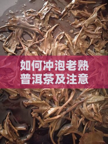 如何冲泡老熟普洱茶及注意事项