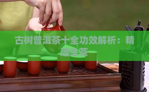 古树普洱茶十全功效解析：精选生茶