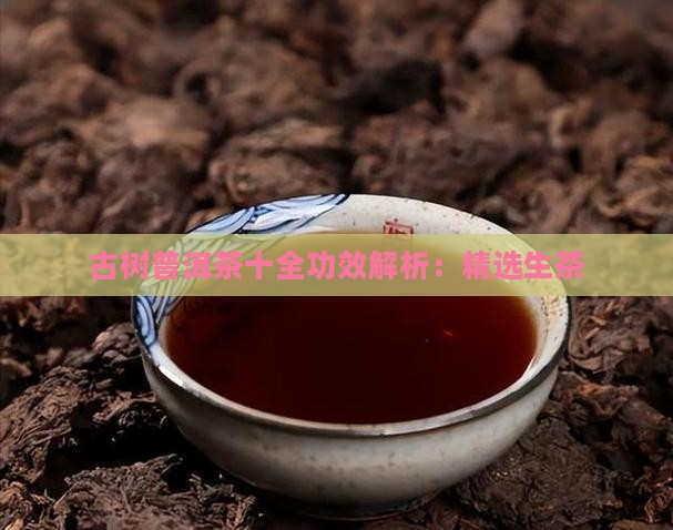古树普洱茶十全功效解析：精选生茶