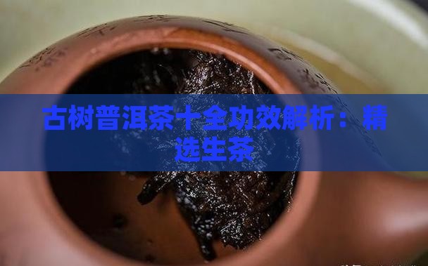古树普洱茶十全功效解析：精选生茶