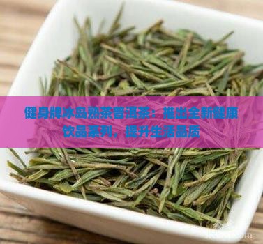 健身牌冰岛熟茶普洱茶：推出全新健康饮品系列，提升生活品质