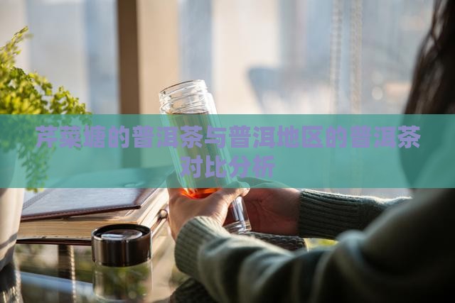 芹菜塘的普洱茶与普洱地区的普洱茶对比分析