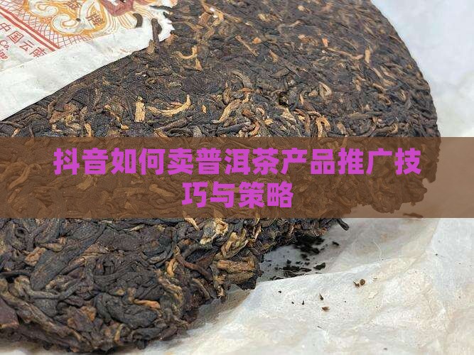 抖音如何卖普洱茶产品推广技巧与策略