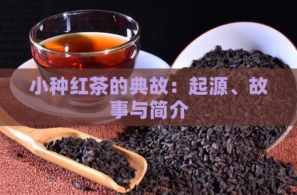 小种红茶的典故：起源、故事与简介