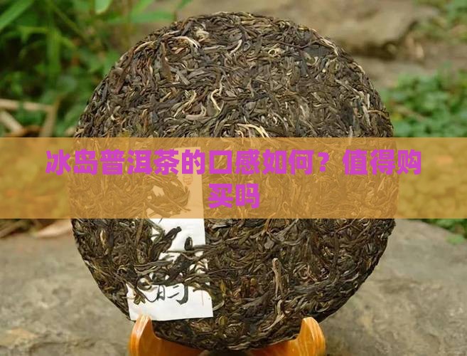 冰岛普洱茶的口感如何？值得购买吗