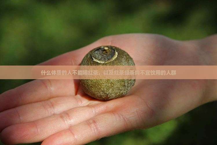 什么体质的人不能喝红茶，以及红茶绿茶均不宜饮用的人群