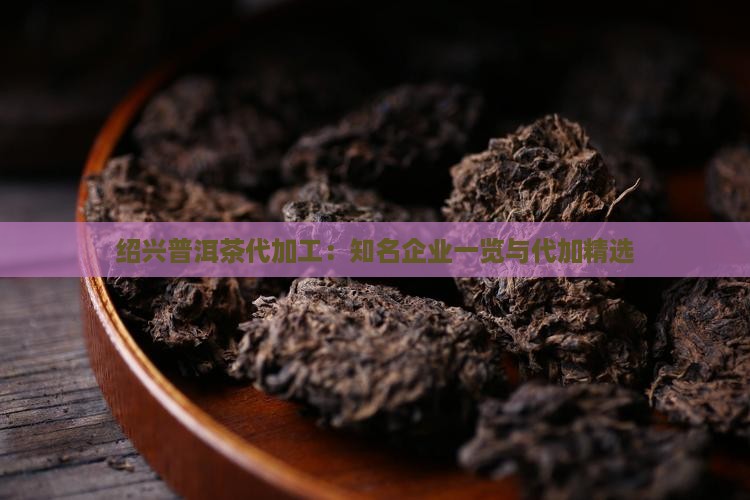 绍兴普洱茶代加工：知名企业一览与代加精选
