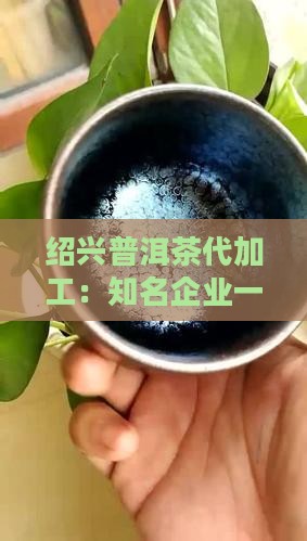 绍兴普洱茶代加工：知名企业一览与代加精选